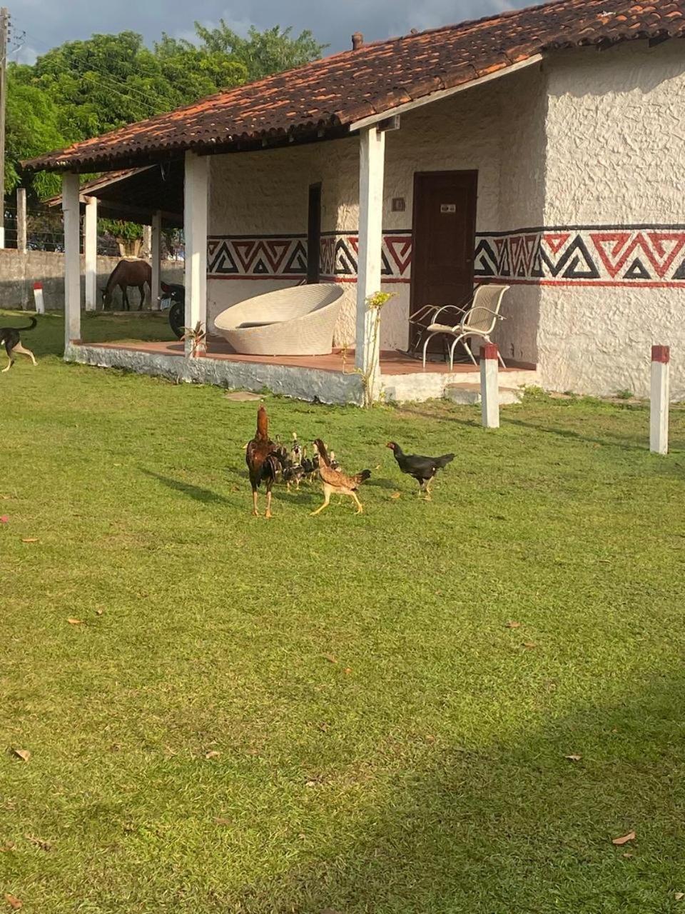 Pousada Marajoara- Hotel Fazenda-Turismo De Aventura Soure Exterior photo